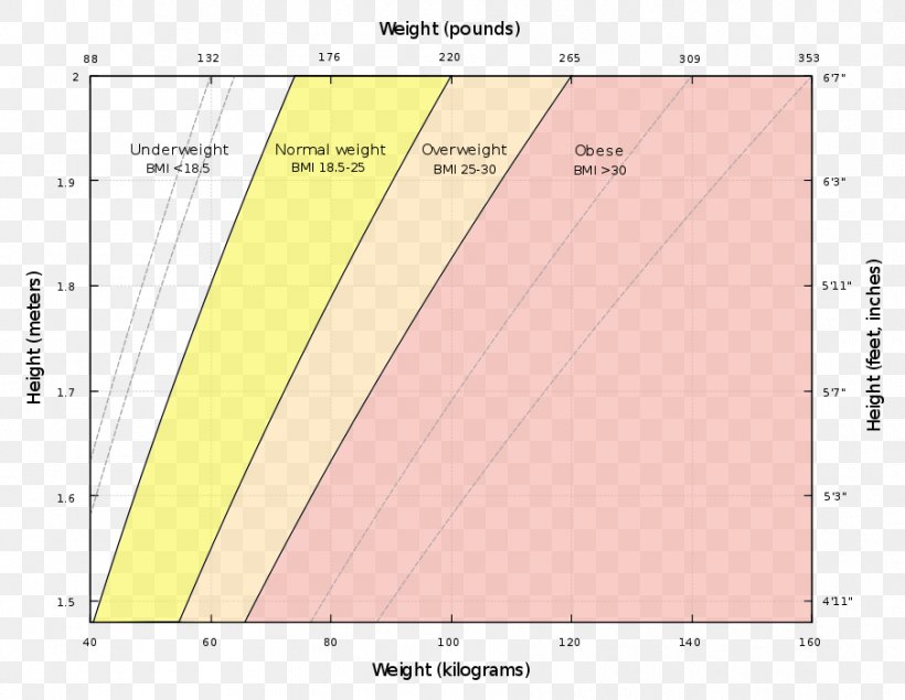 Body Mass Index Human Body Weight Weight Loss Adipose Tissue, PNG, 904x701px, Body Mass Index, Adipose Tissue, Adolphe Quetelet, Area, Body Fat Percentage Download Free