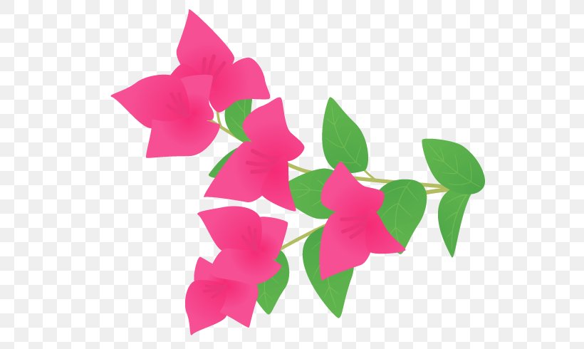 Bougainvillea Petal Cut Flowers Plant Stem, PNG, 700x490px, Bougainvillea, Cut Flowers, Flora, Flower, Flowering Plant Download Free