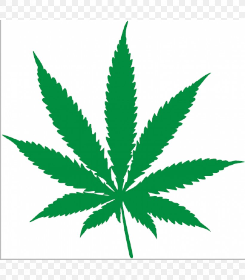 Cannabis Ruderalis Hemp Leaf Cannabis Sativa, PNG, 875x1000px, Cannabis, Cannabis Ruderalis, Cannabis Sativa, Cannabis Smoking, Drawing Download Free