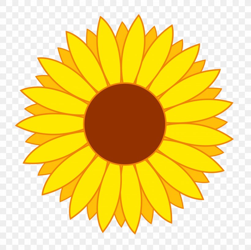 Common Sunflower Clip Art, PNG, 3224x3215px, Flower, Color, Cut Flowers, Daisy, Daisy Family Download Free