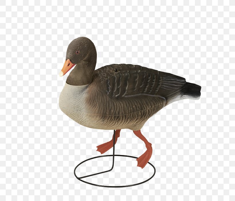 Greylag Goose Decoy Canada Goose Hunting, PNG, 684x700px, Greylag Goose, Beak, Bird, Canada, Canada Goose Download Free