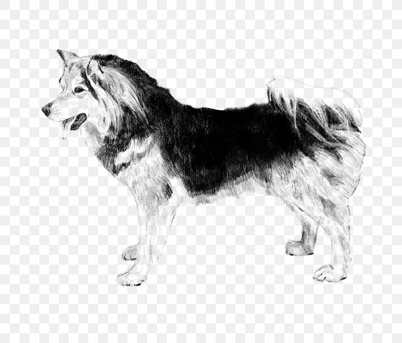 Canadian Eskimo Dog Siberian Husky Seppala Siberian Sleddog Sakhalin Husky Alaskan Malamute, PNG, 700x700px, Canadian Eskimo Dog, Alaskan Husky, Alaskan Malamute, Black And White, Carnivoran Download Free