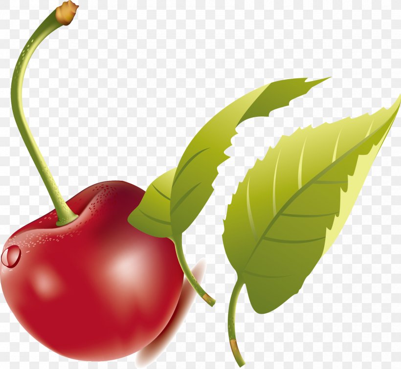 Cherry Euclidean Vector Clip Art, PNG, 1704x1570px, Cherry, Apple, Artworks, Auglis, Diet Food Download Free