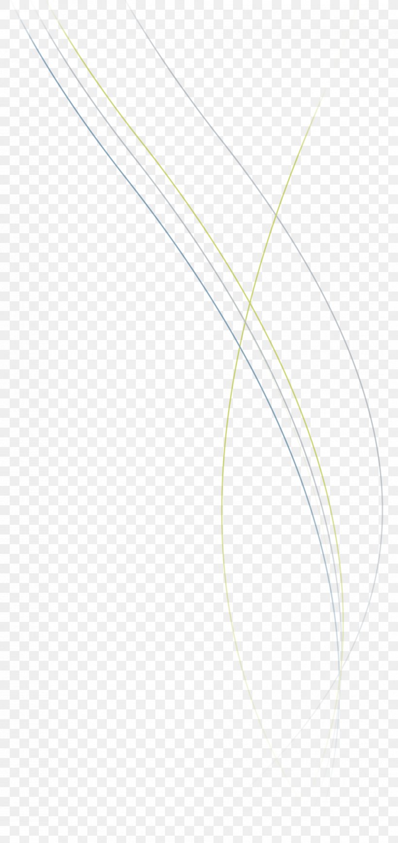 Circle Line Angle, PNG, 993x2102px,  Download Free