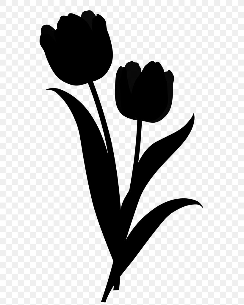Tulip Clip Art Plant Stem Leaf Silhouette, PNG, 591x1024px, Tulip, Blackandwhite, Botany, Flower, Flowering Plant Download Free