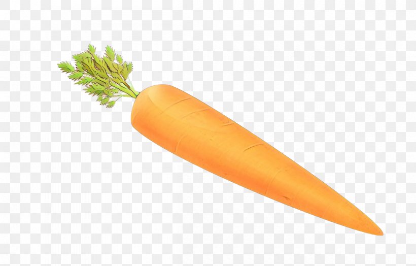 Carrot Vegetable Root Vegetable Wild Carrot Food, PNG, 1200x767px, Cartoon, Baby Carrot, Carrot, Daikon, Food Download Free
