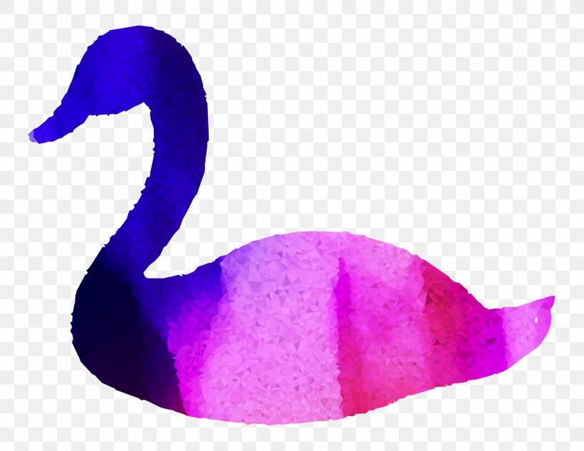 Duck Cygnini Beak Purple Feather, PNG, 2200x1700px, Duck, Beak, Bird, Black Swan, Cygnini Download Free