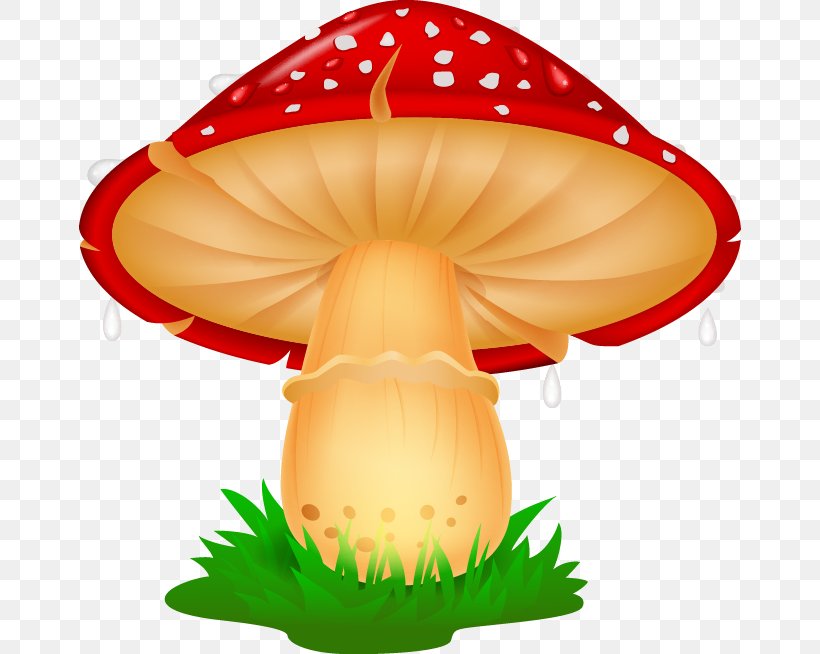 Mushroom Photography Illustration, PNG, 662x654px, Mushroom, Cartoon, Drawing, Edible Mushroom, Orange Download Free
