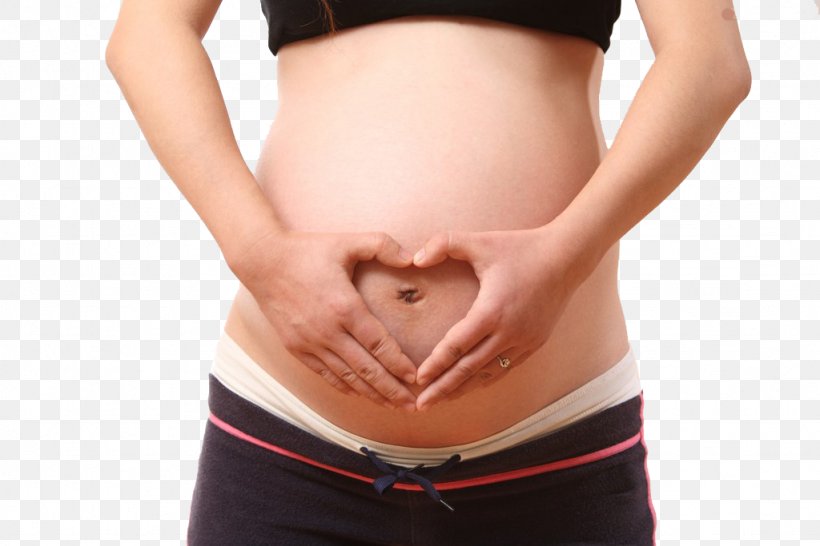 Woman Menstruation Pregnancy U5b55u5987 Mother, PNG, 1024x683px, Watercolor, Cartoon, Flower, Frame, Heart Download Free