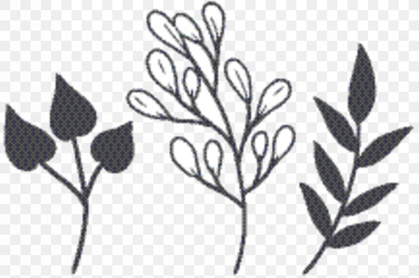 Leaf Drawing, PNG, 866x576px, Twig, Branch, Drawing, Flower, Fruit Download Free