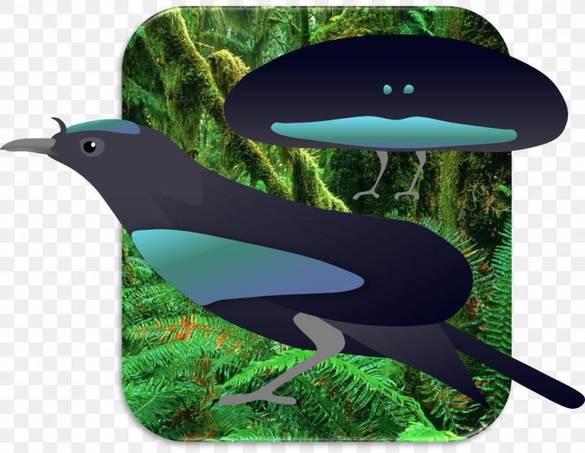 Superb Bird-of-paradise Greater Bird-of-paradise Lesser Bird-of-paradise, PNG, 1002x777px, Bird, Beak, Birdofparadise, Emperor Birdofparadise, Fauna Download Free