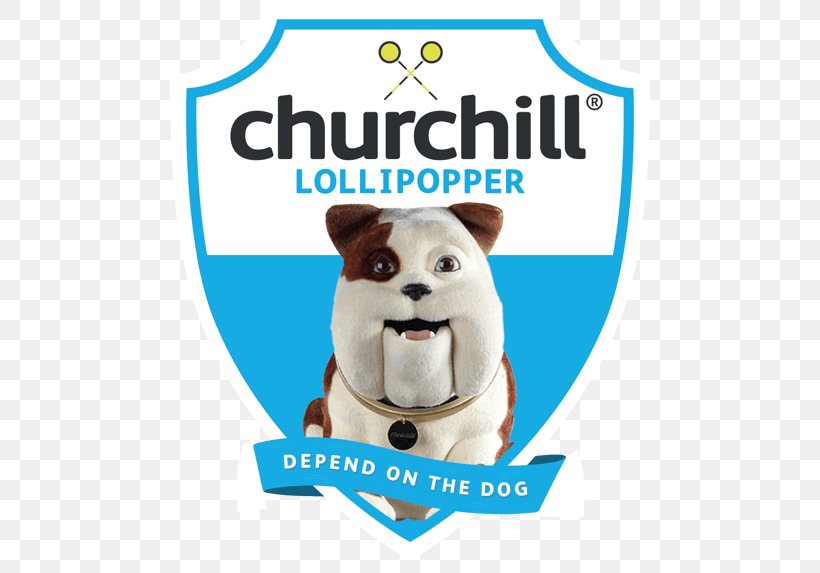 Churchill Insurance Dog Breed Vehicle Insurance Puppy, PNG, 480x573px, Churchill Insurance, Carnivoran, Child, Dog, Dog Breed Download Free