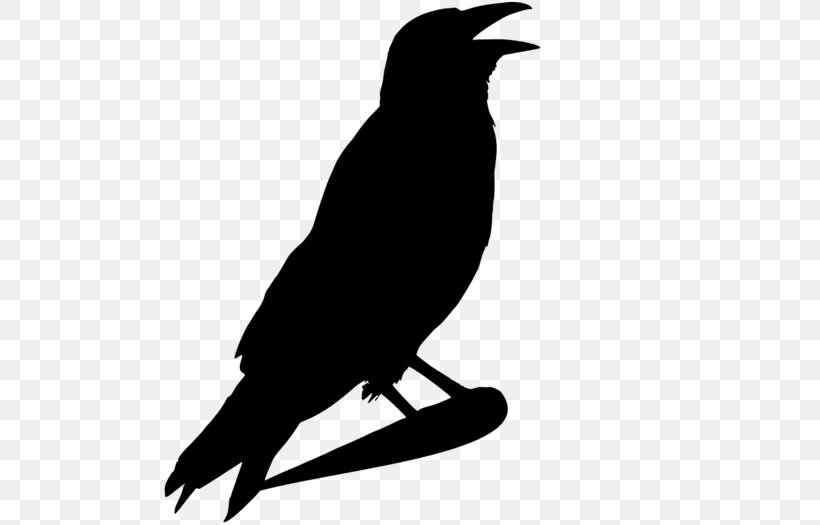 Crow Common Raven Clip Art, PNG, 700x525px, Crow, American Crow, Beak, Bird, Black And White Download Free