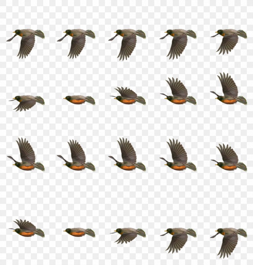 Flip Book Drawing Animation Clip Art, PNG, 1200x1256px, Flip Book, Acridotheres, Animal Migration, Animation, Beak Download Free
