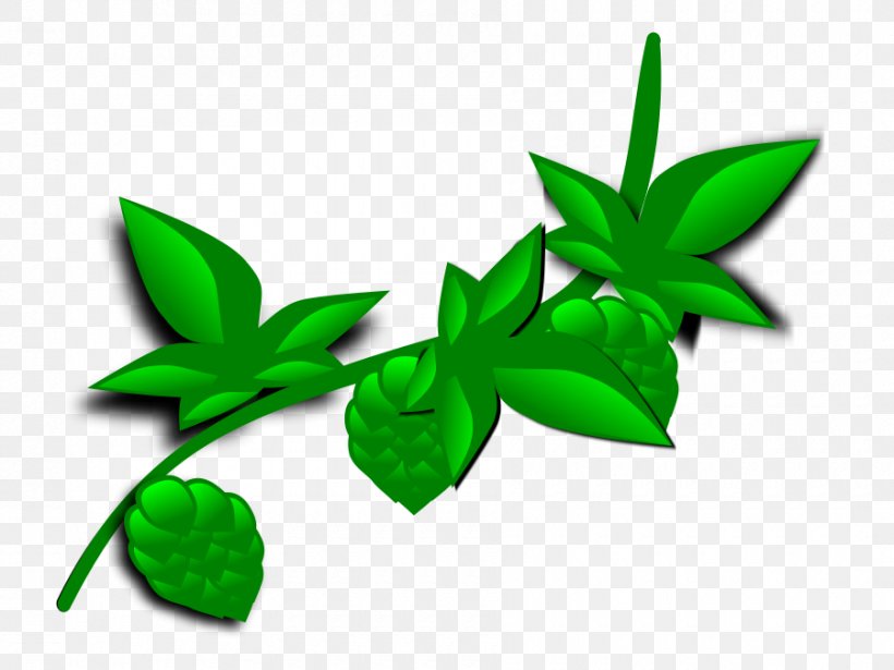 Plant Leaf Clip Art, PNG, 900x675px, Plant, Coca, Flora, Flower, Grass Download Free