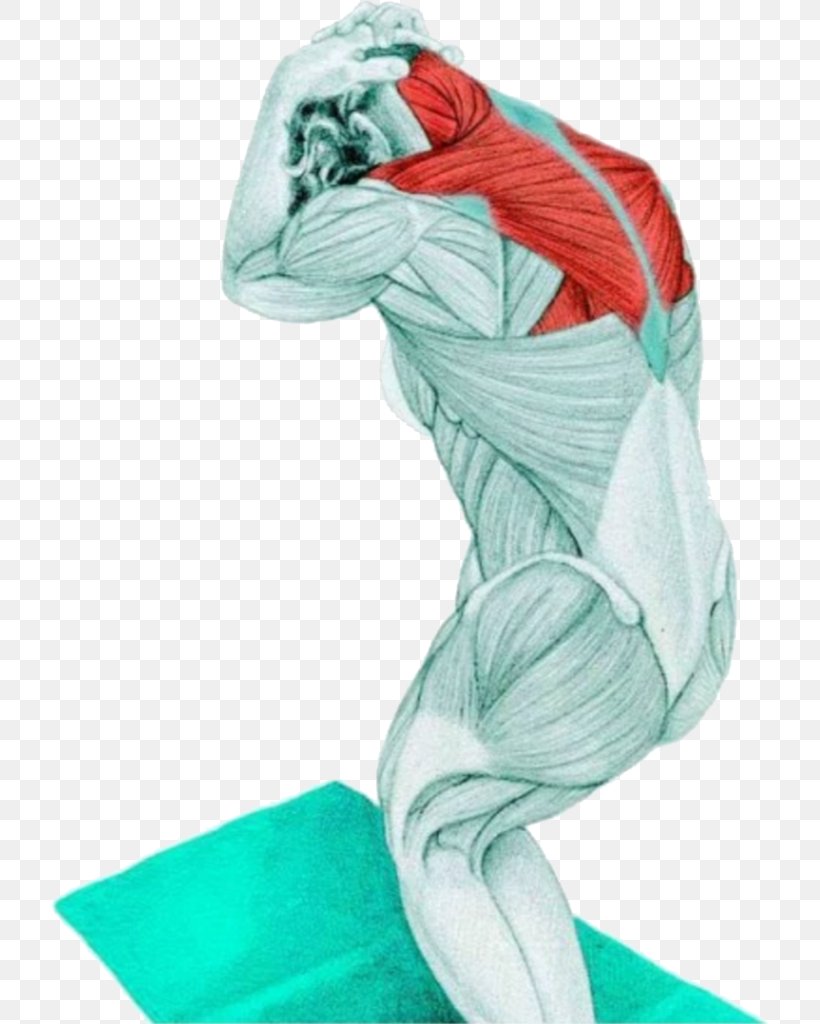 Stretching Neck Trapezius Muscle Exercise, PNG, 718x1024px, Watercolor, Cartoon, Flower, Frame, Heart Download Free