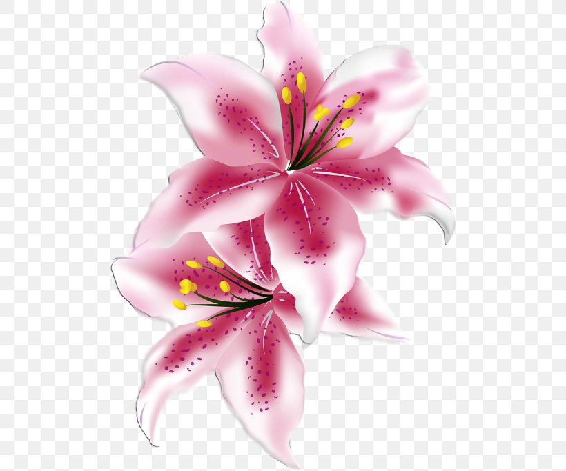 Lilium Flower, PNG, 500x683px, Lilium, Art, Blossom, Cut Flowers, Digital Painting Download Free