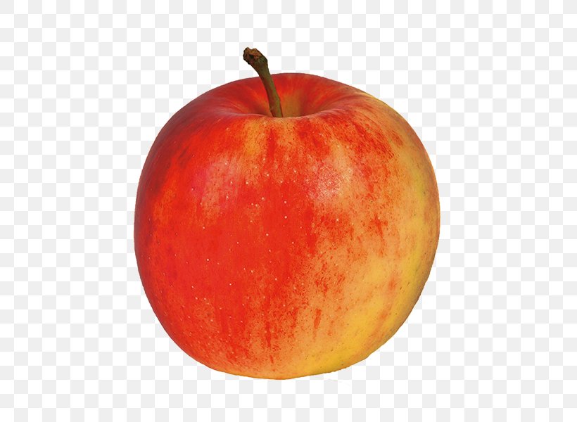 McIntosh Red Apple Jonagold Northern Spy Fruit, PNG, 600x600px, Mcintosh Red, Apple, Braeburn, Cultivar, Elstar Download Free