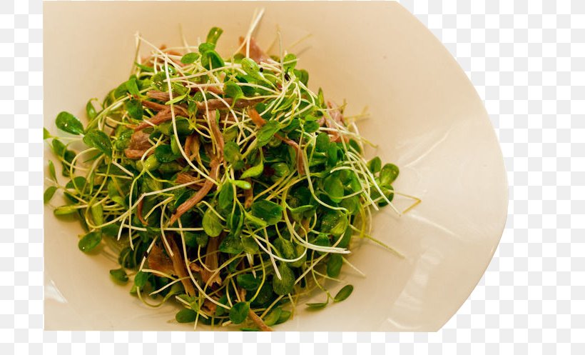 Namul Icon, PNG, 700x497px, Namul, Alfalfa, Alfalfa Sprouts, Asian Food, Cuisine Download Free