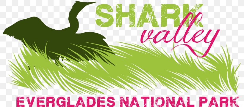 The Everglades: River Of Grass Shark Valley Shark River Miami, PNG, 800x361px, Everglades, Advertising, Brand, Ecosystem, Everglades National Park Download Free