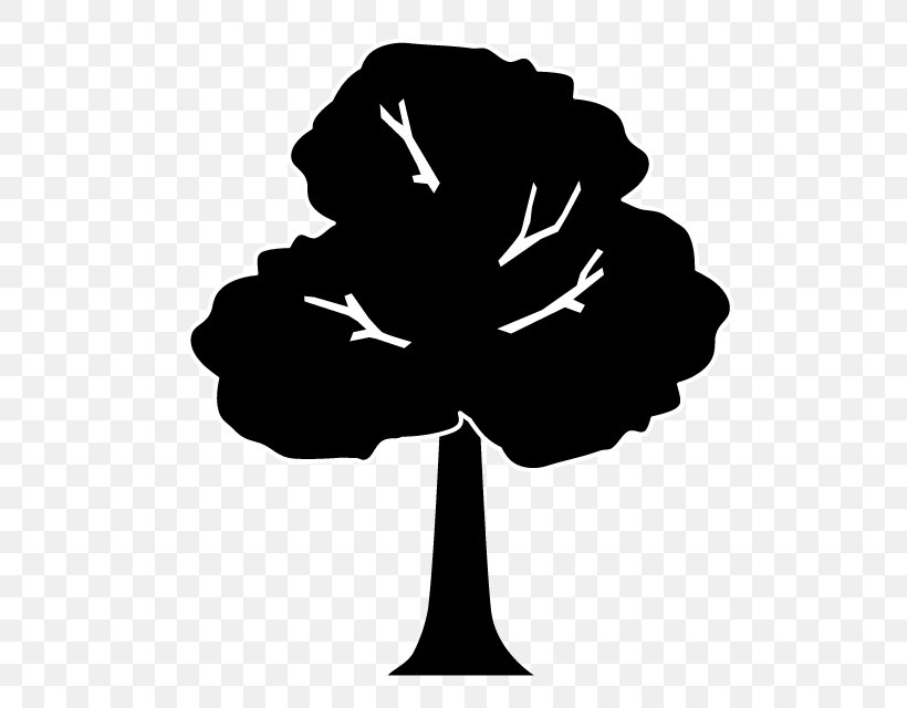 Tree Montana Tech Illustration Plants Soil, PNG, 640x640px, Tree, Blackandwhite, Botany, Budi Daya, Energy Download Free