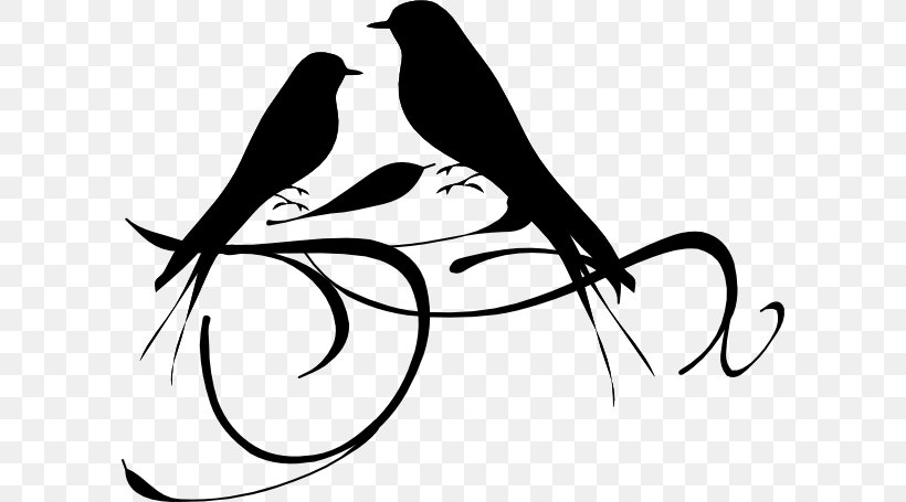 Black-cheeked Lovebird Black And White Clip Art, PNG, 600x455px, Bird, Art, Beak, Black And White, Blackcheeked Lovebird Download Free