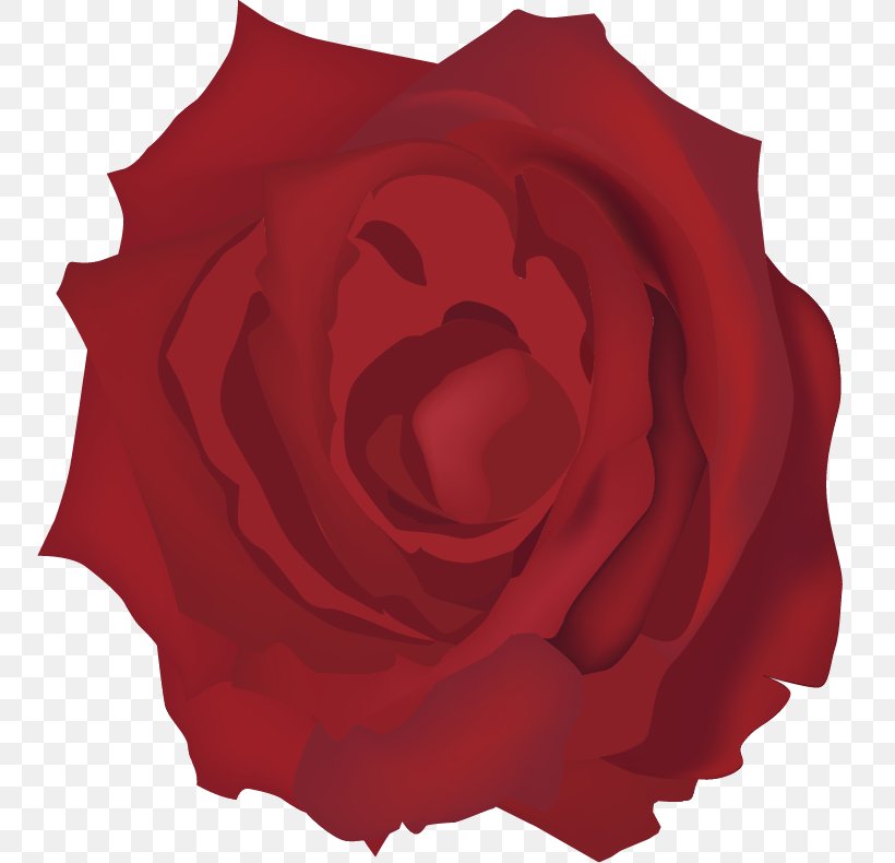 Garden Roses Beach Rose Euclidean Vector Red, PNG, 751x790px, Garden Roses, Beach Rose, Flower, Flowering Plant, Peach Download Free