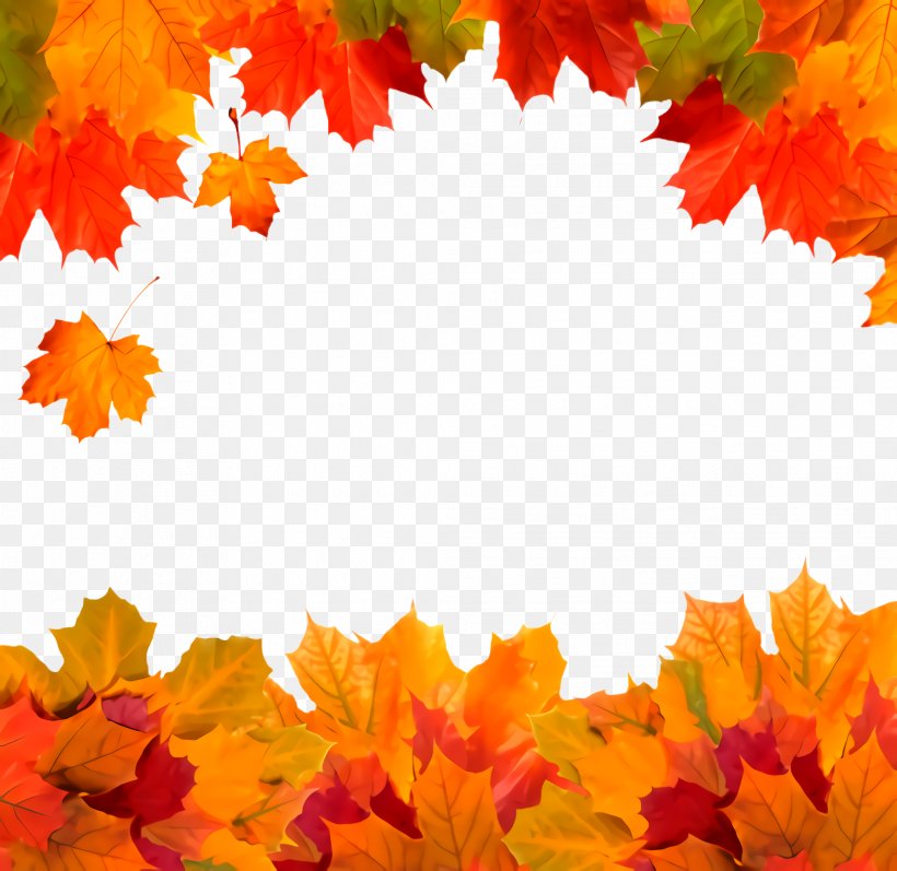 Maple Leaf, PNG, 2028x1972px, Leaf, Autumn, Black Maple, Deciduous, Maple Download Free