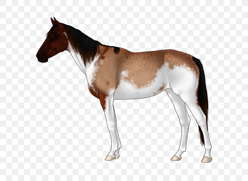 Mule Foal Mustang Stallion Colt, PNG, 600x600px, Mule, Animal Figure, Bridle, Colt, Foal Download Free
