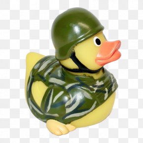 Dells Army Duck Tours Rubber Duck Wisconsin Dells, PNG, 1280x1280px ...