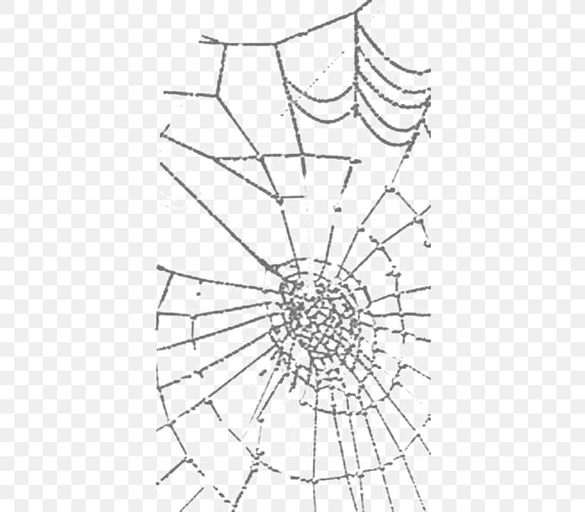 Spider Web Paper Photography Pattern, PNG, 388x718px, Spider Web, Area, Black, Black And White, Drawing Download Free