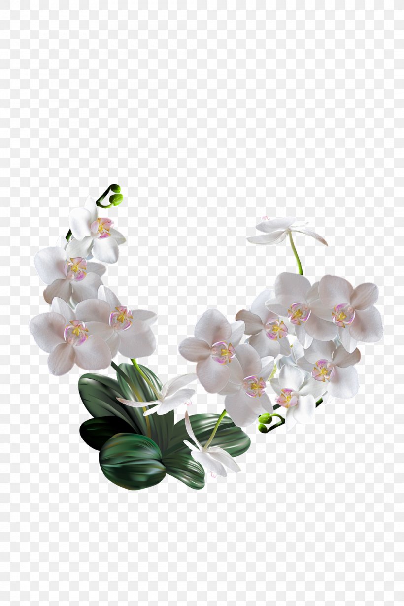 The Orchids Of The Philippines Artificial Flower Clip Art, PNG, 1066x1600px, Orchids, Artificial Flower, Blossom, Body Jewelry, Cut Flowers Download Free