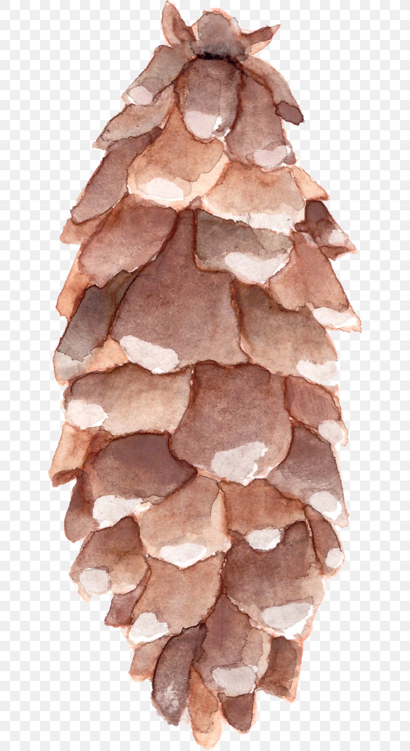 Watercolor Painting, PNG, 629x1500px, Watercolor Painting, Art, Canvas, Color, Conifer Cone Download Free
