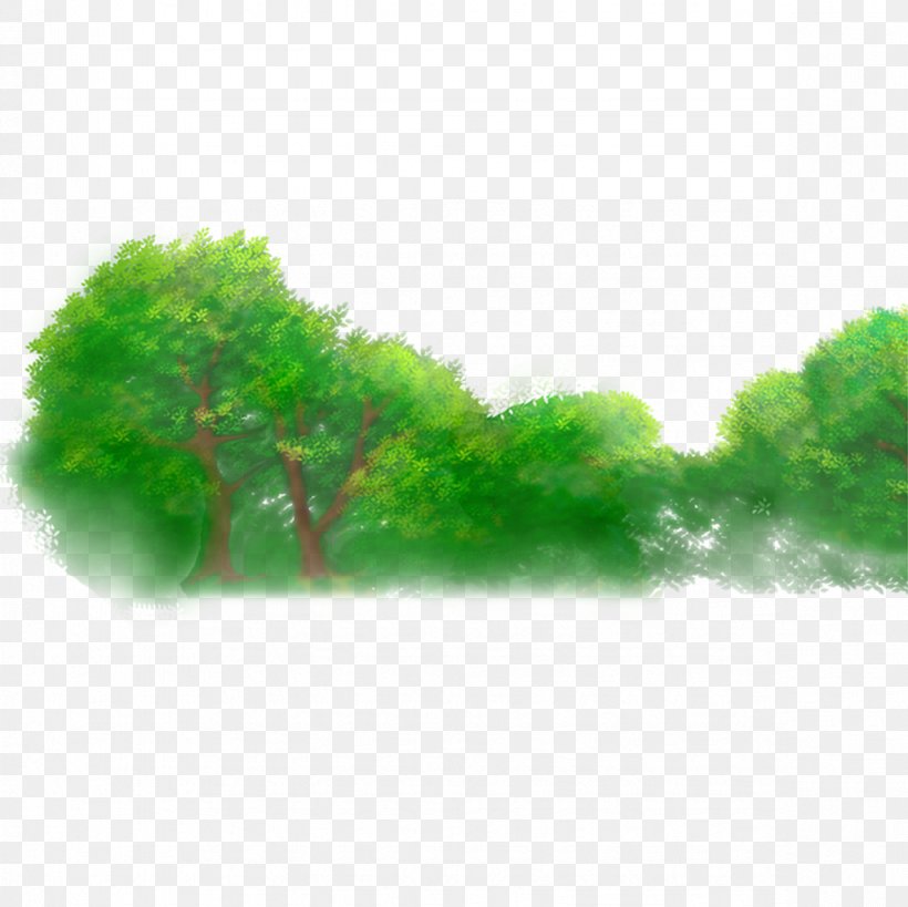 Forest Jungle Illustration, PNG, 1181x1181px, Forest, Branch, Designer, Drawing, Ecosystem Download Free