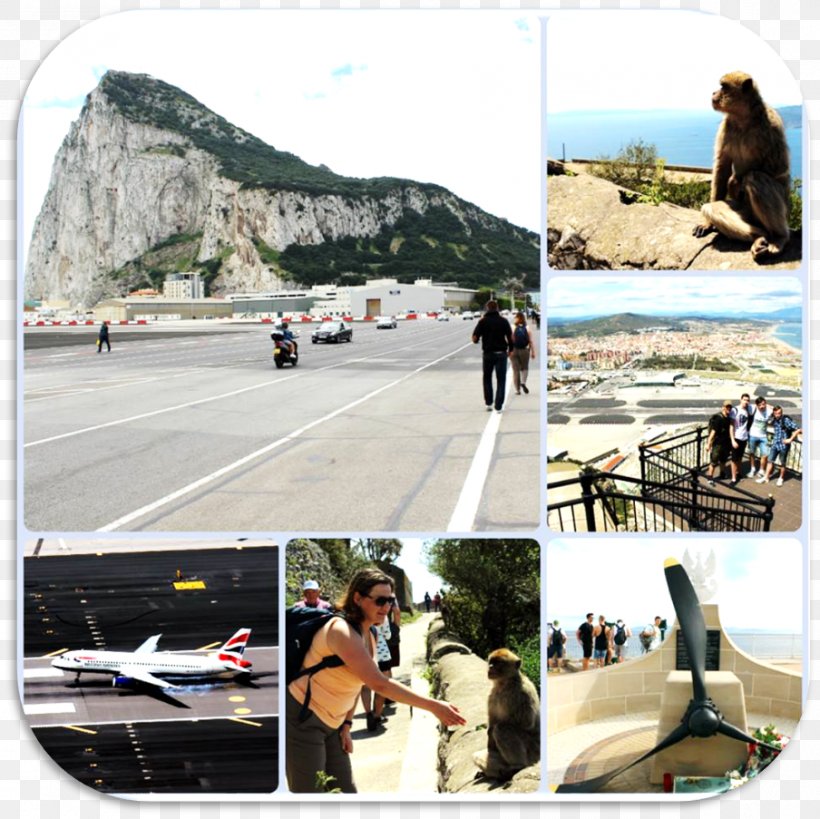 Gibraltar International Airport Rock Of Gibraltar Transport Asphalt Vacation, PNG, 904x903px, Rock Of Gibraltar, Airport, Asphalt, Asphalt Concrete, Beach Download Free