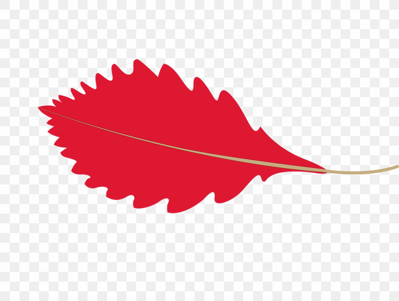 Maple Leaf, PNG, 3000x2270px, Autumn Leaf, Biology, Cartoon Leaf, Fall Leaf, Leaf Download Free