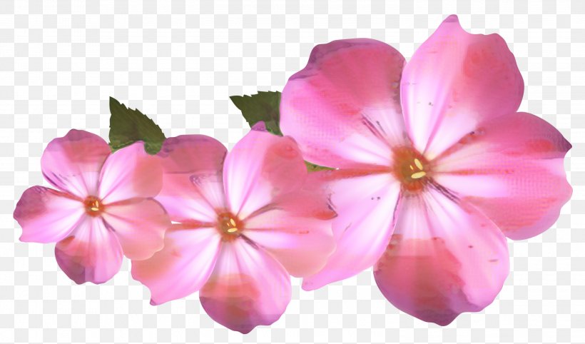 Clip Art Image Desktop Wallpaper, PNG, 2997x1763px, Art, Digital Art, Drawing, Flower, Flowering Plant Download Free