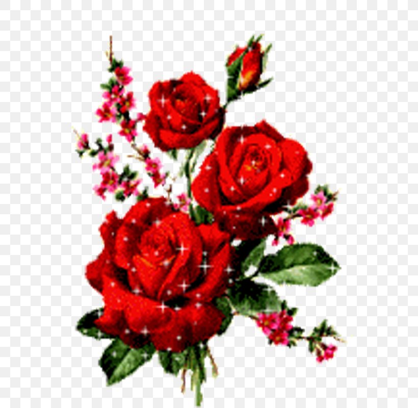 Rose Flower Animation, PNG, 800x800px, Rose, Animation, Artificial Flower,  Blog, Cut Flowers Download Free