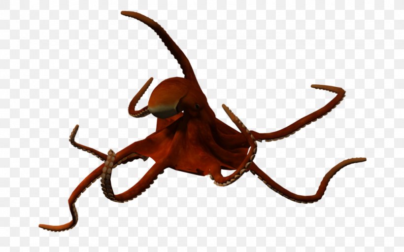 Benthic Zone 3D Computer Graphics Seabed, PNG, 1024x639px, 3d Computer Graphics, Benthic Zone, Animal, Animation, Cephalopod Download Free
