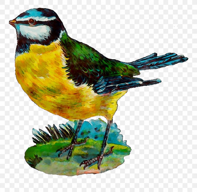 Finches Beak Feather Fauna, PNG, 1153x1122px, Finches, Art, Beak, Bird, Chickadee Download Free