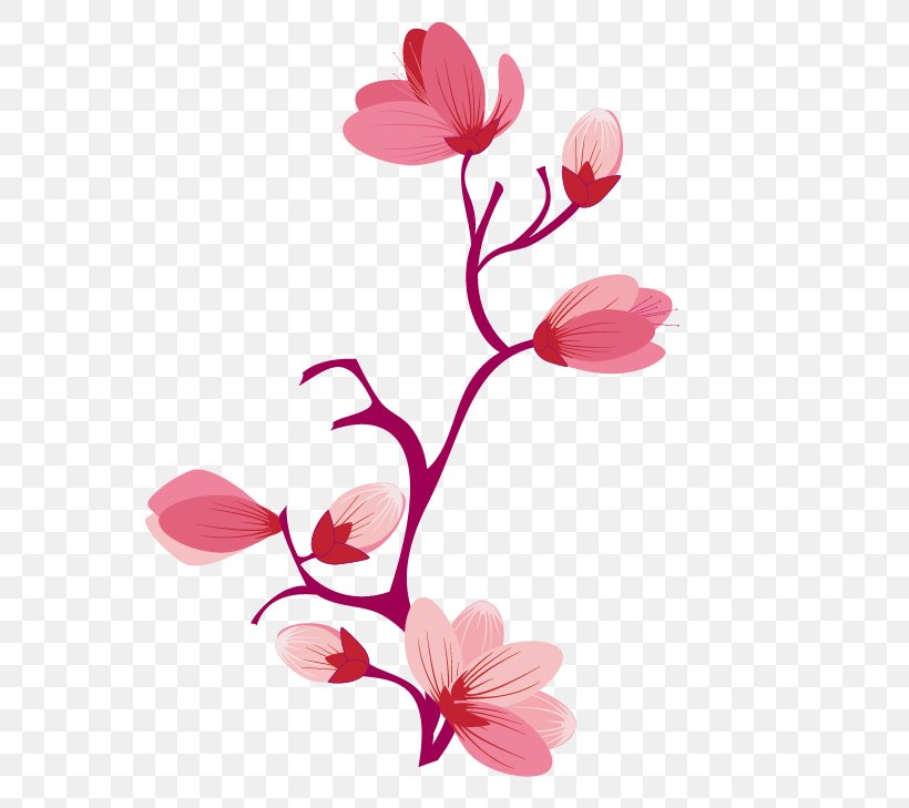 Flower Cherry Blossom Cerasus Petal Floral Design, PNG, 613x729px, Flower, Article, Blossom, Branch, Cerasus Download Free