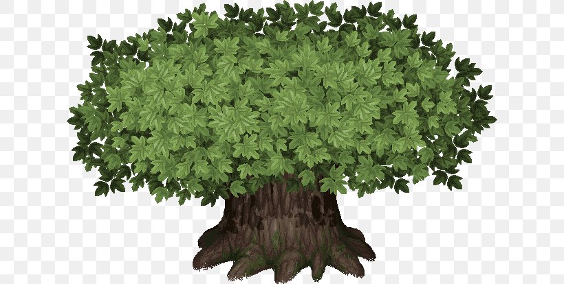 Mahan Confederacy Baekje Tree Nexus: The Kingdom Of The Winds Shrub, PNG, 626x414px, Baekje, Flowerpot, Grass, Herb, Nexus The Kingdom Of The Winds Download Free