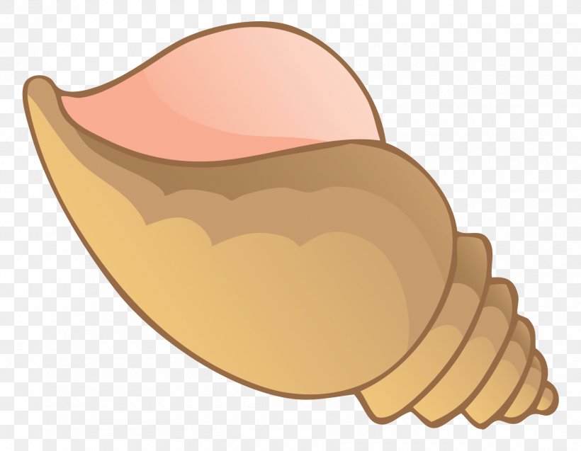Seashell Conch Clip Art Image Drawing, PNG, 1800x1400px, Seashell, Cartoon, Chocolate Ice Cream, Conch, Drawing Download Free