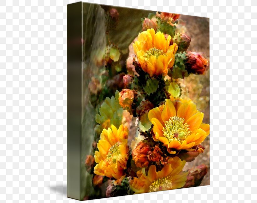 Floral Design Cut Flowers Gallery Wrap Flower Bouquet, PNG, 532x650px, Floral Design, Art, Cactaceae, Calendula, Canvas Download Free