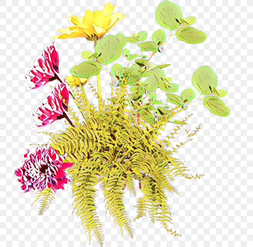 Flower Plant Flowering Plant Cut Flowers, PNG, 800x800px, Cartoon, Cut Flowers, Flower, Flowering Plant, Plant Download Free