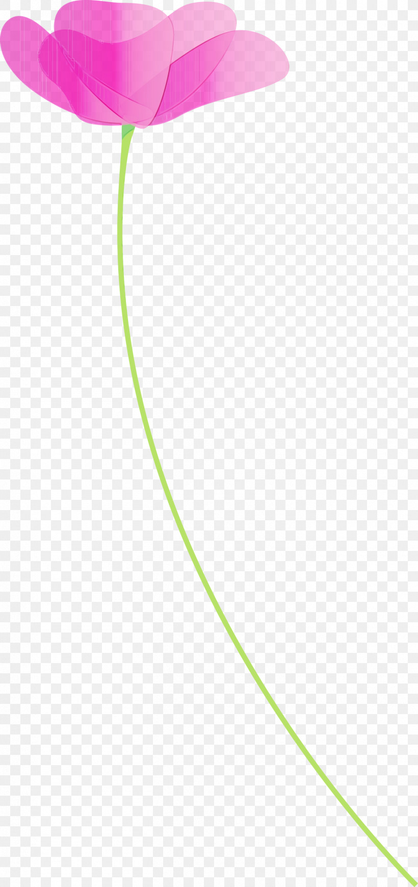 Green Line, PNG, 1414x3000px, Poppy, Flower, Green, Line, Paint Download Free