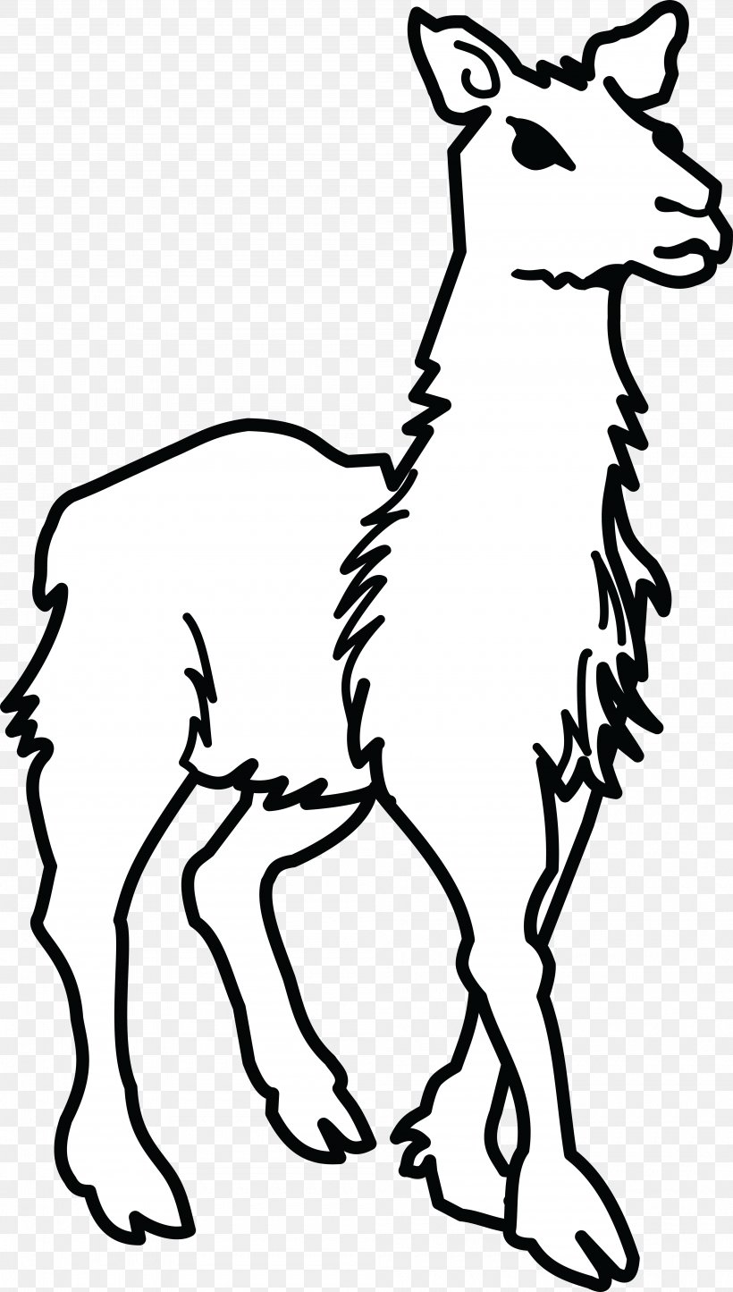 Llama Clip Art, PNG, 4000x7051px, Llama, Art, Beak, Black, Black And White Download Free