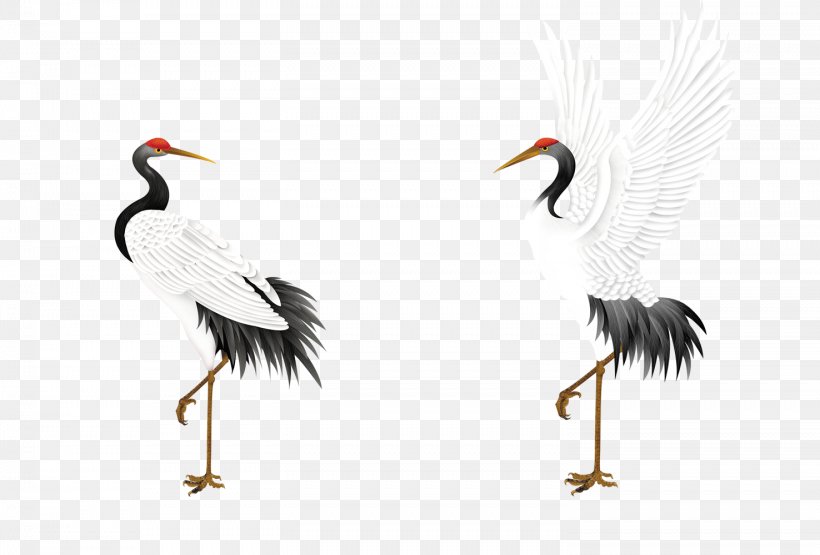 Red-crowned Crane Jichang Garden Bird Budaya Tionghoa, PNG, 1476x1000px, Crane, Animal, Beak, Bird, Budaya Tionghoa Download Free