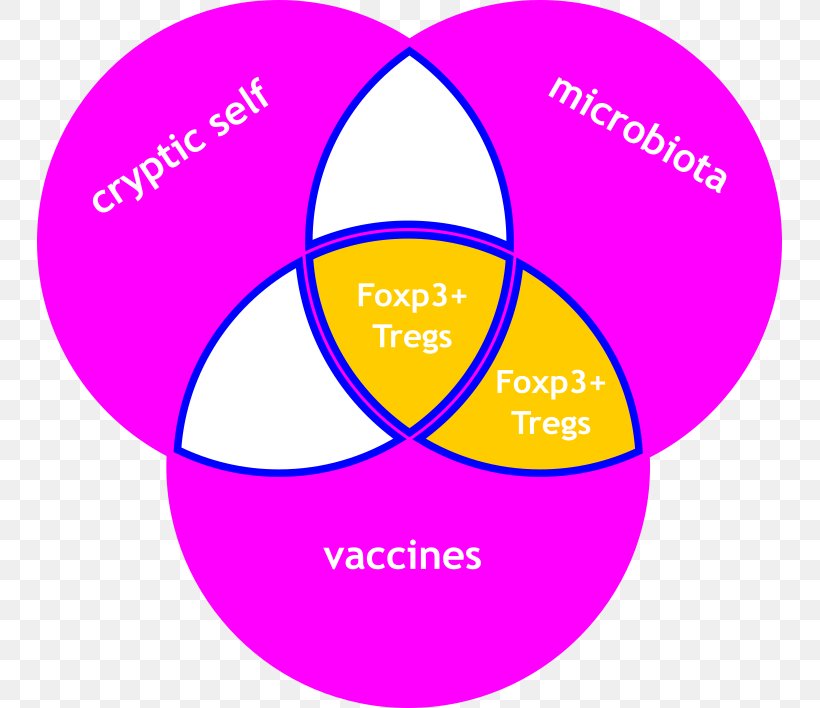 Autoimmunity Antigen Autoimmune Disease Vaccine, PNG, 745x708px, Autoimmunity, Adverse Effect, Allergy, Antigen, Area Download Free