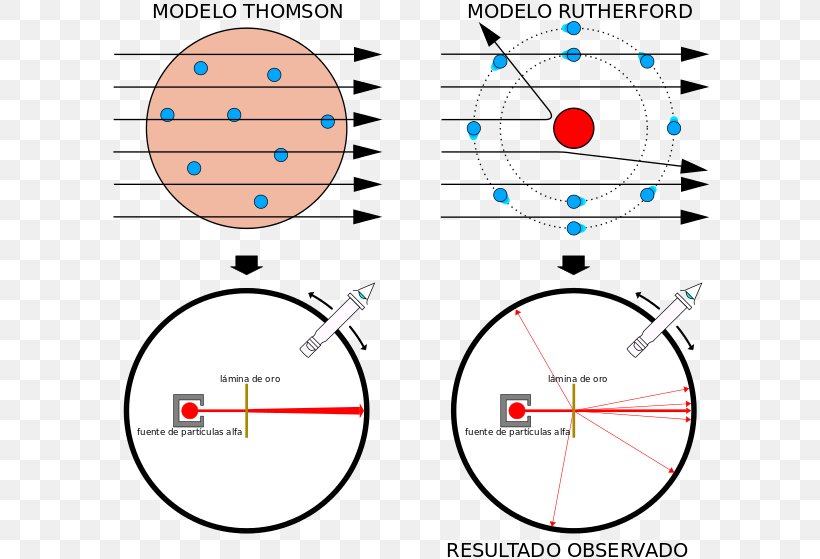 Geiger–Marsden Experiment Rutherford Model Plum Pudding Model Alpha Particle, PNG, 600x559px, Rutherford Model, Alpha Particle, Area, Atom, Atomic Theory Download Free